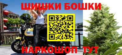 spice Гусев