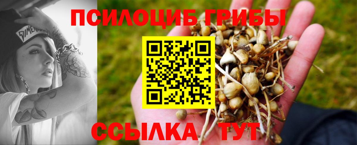 Галлюциногенные грибы прущие грибы  Галлюциногенные грибы MAGIC MUSHROOMS  Нарьян-Мар  Вход с VPN 